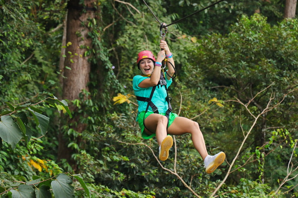 Zipline и верёвочный парк Микли